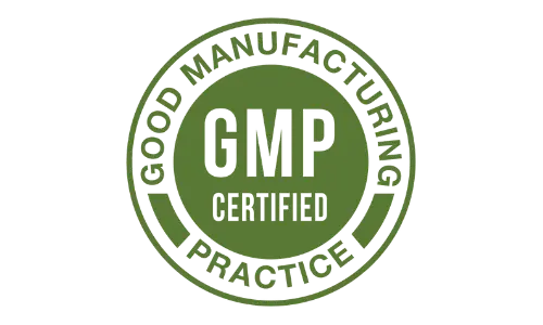 RhythmOne GMP Certified